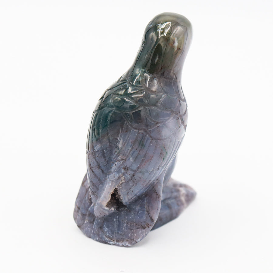 Ocean Jasper Raven