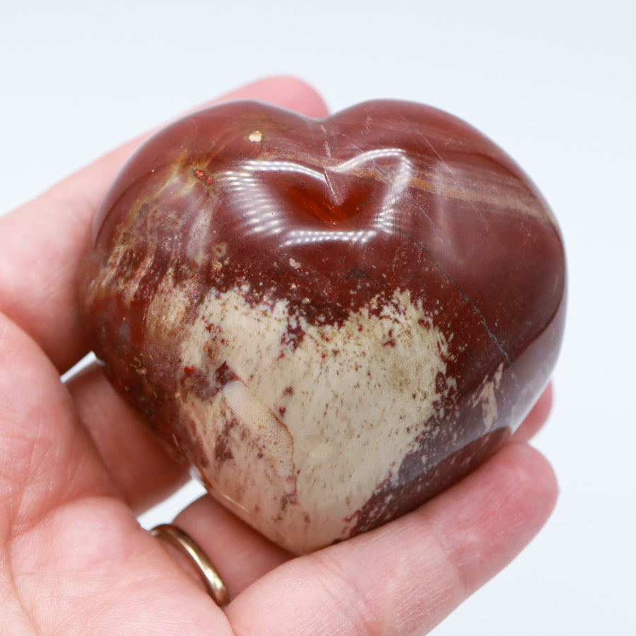Petrified Wood Hearts