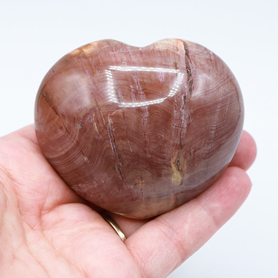 Petrified Wood Hearts
