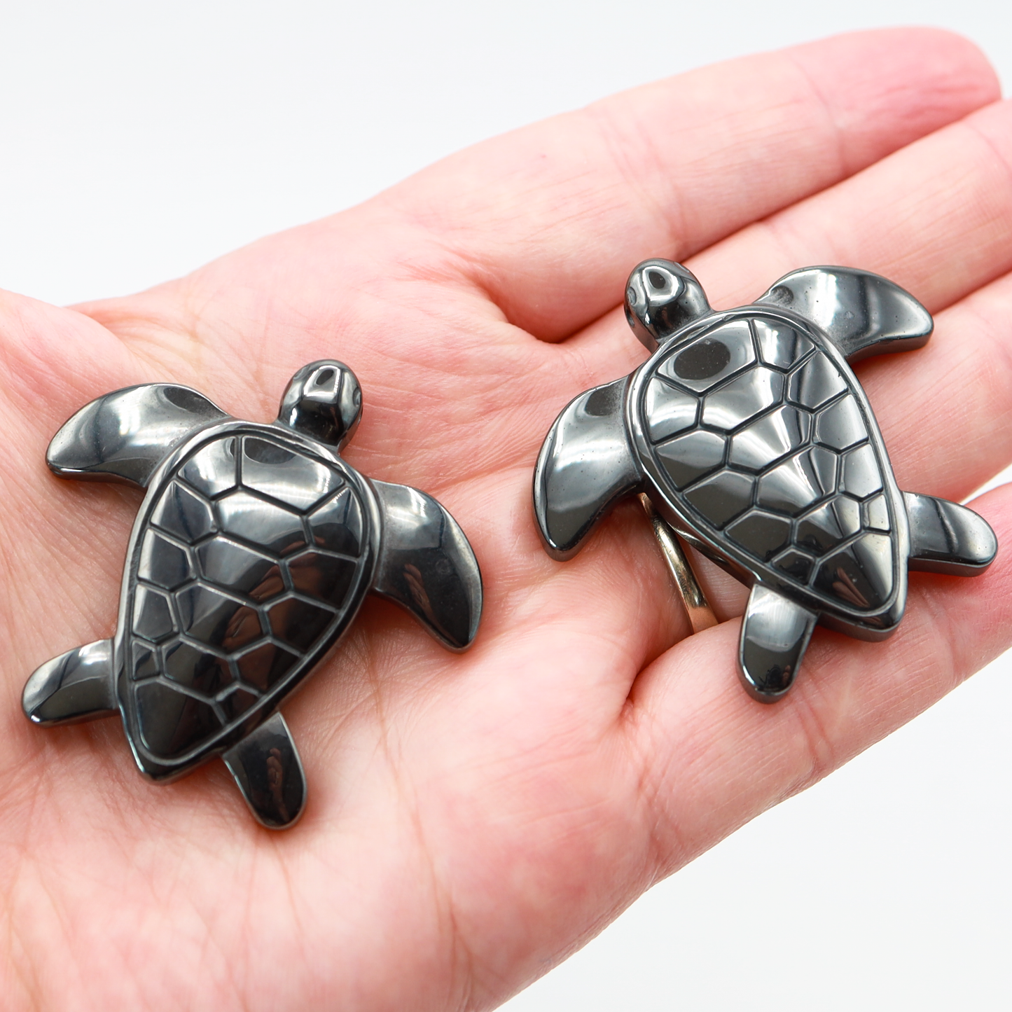 Hematite Turtle