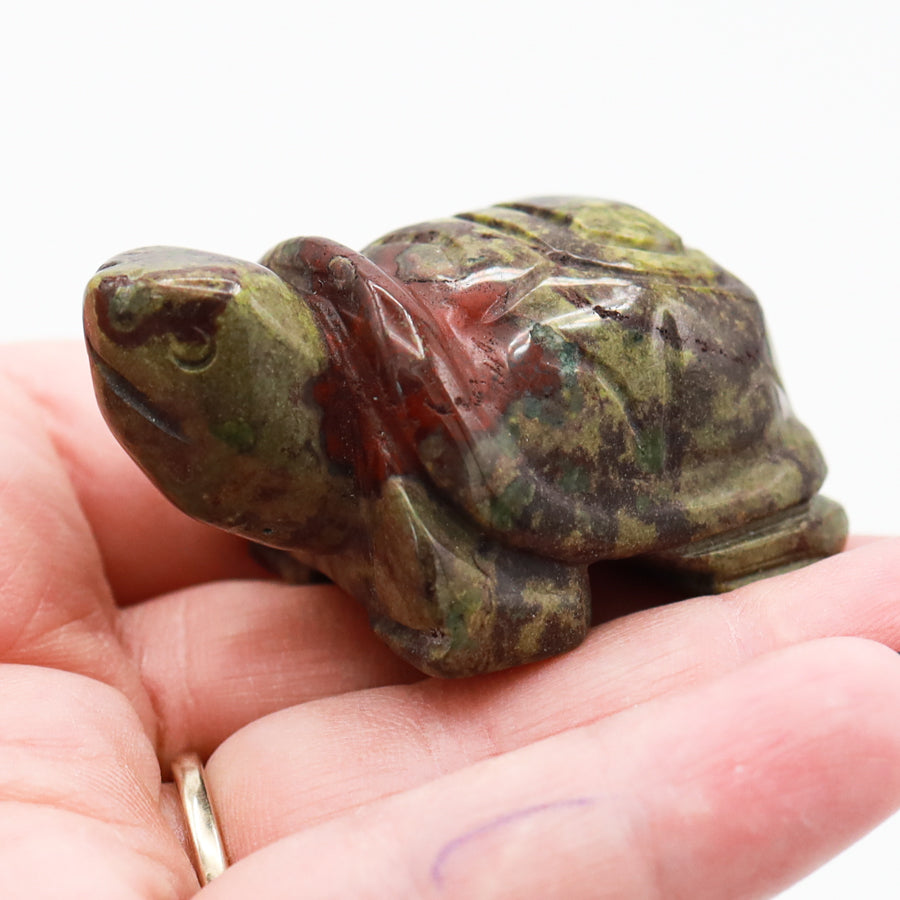 Turtle Carving