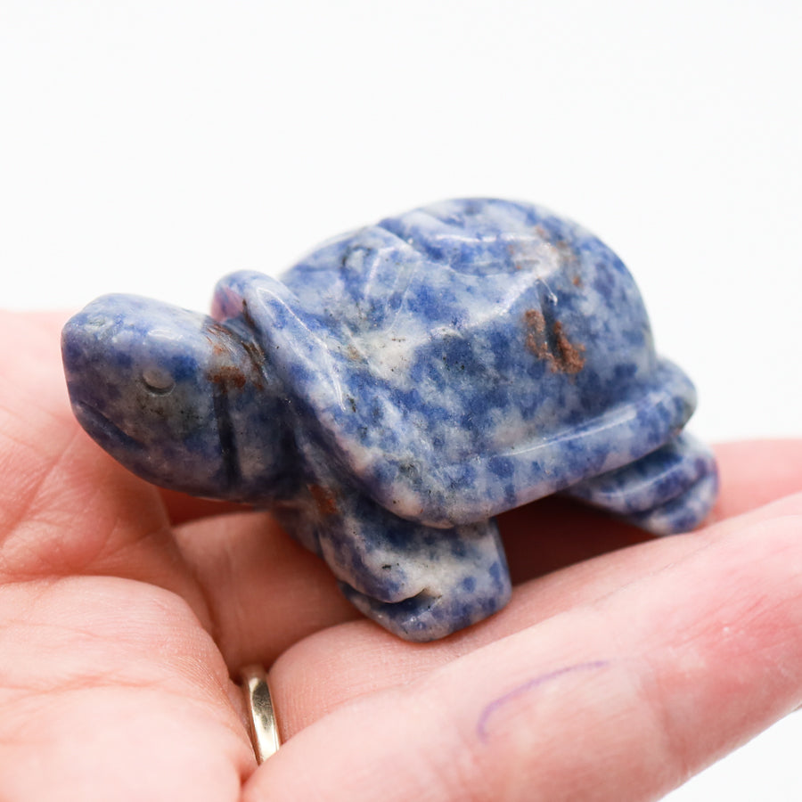 Turtle Carving