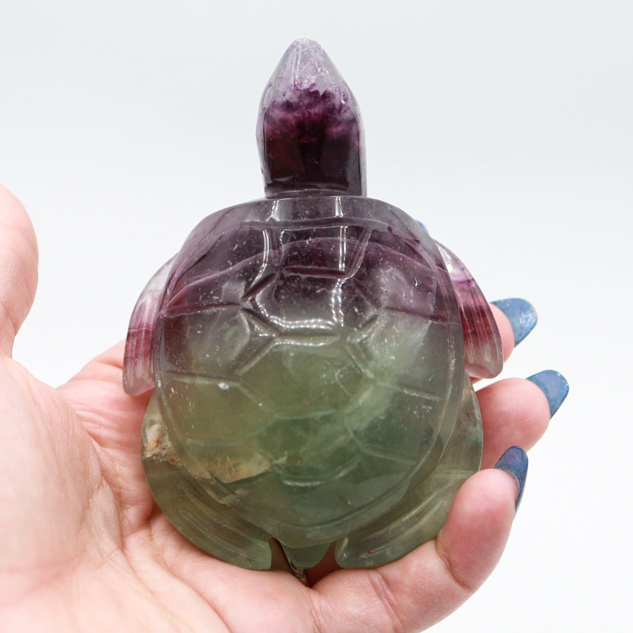 Fluorite Turtle (Large)