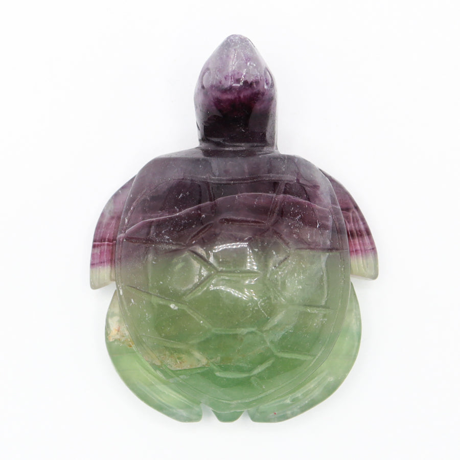 Fluorite Turtle (Large)