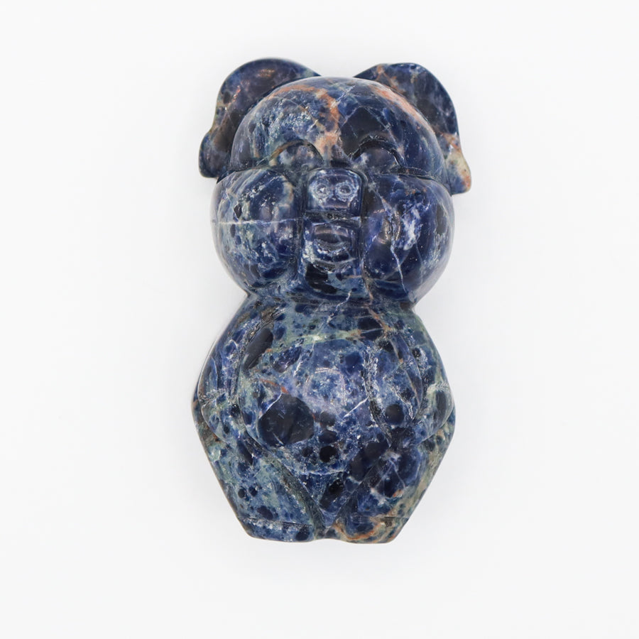 Sodalite Piggy