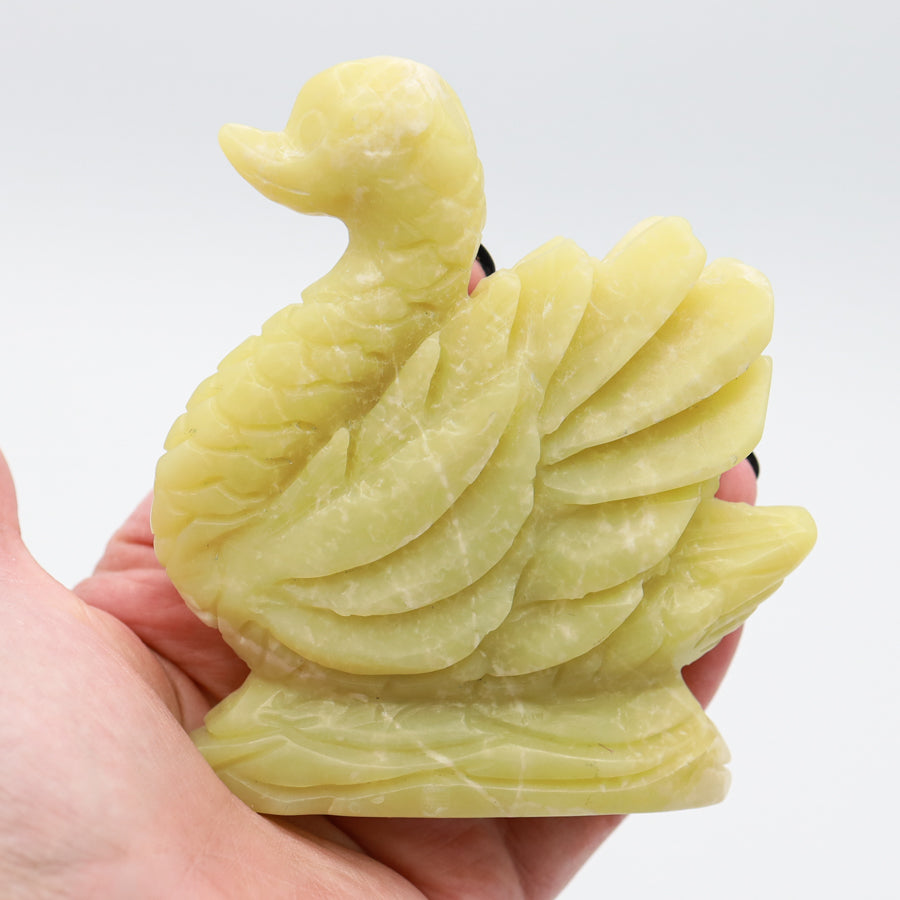 Serpentine Swan