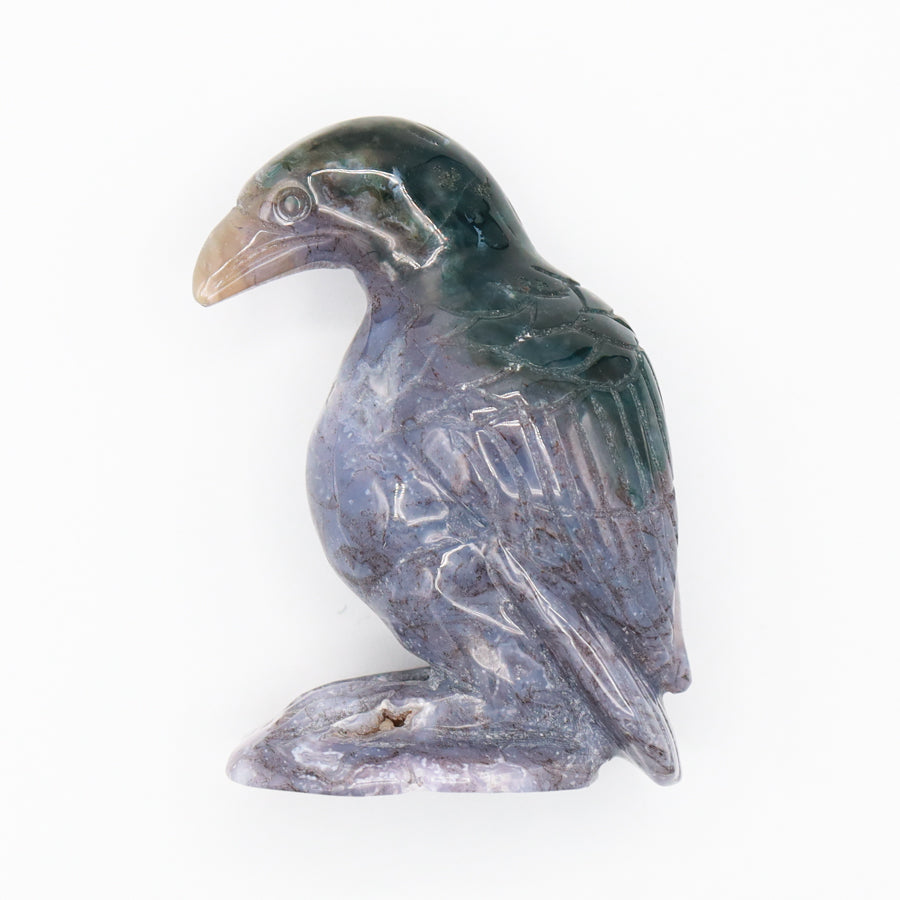 Ocean Jasper Raven