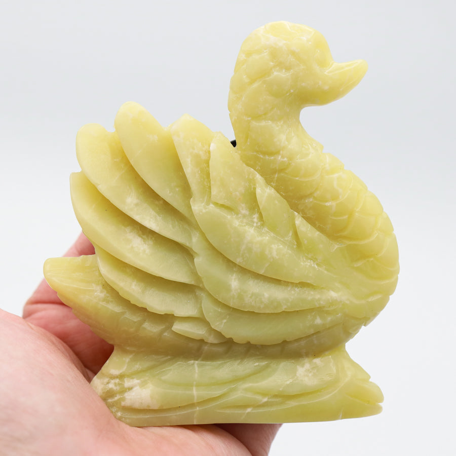 Serpentine Swan