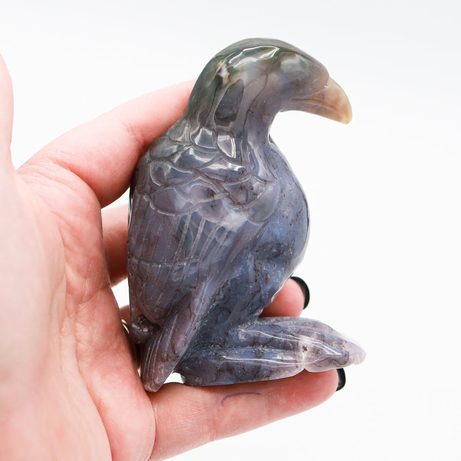 Ocean Jasper Raven