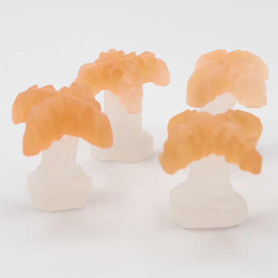 Selenite Palmtree