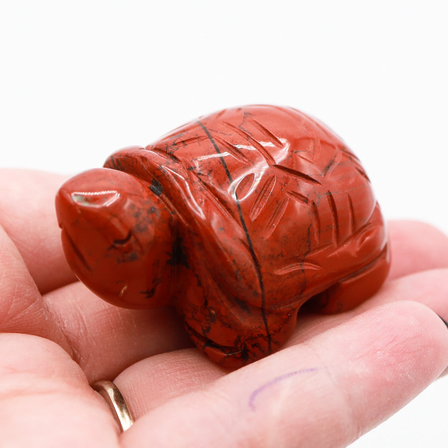 Turtle Carving