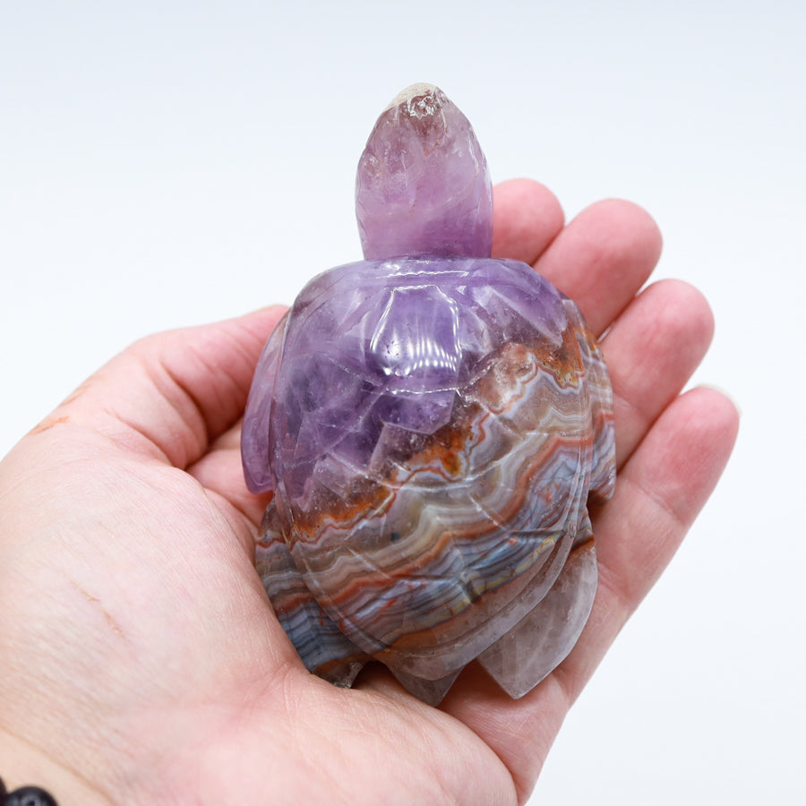 Amethyst Agate Turtle