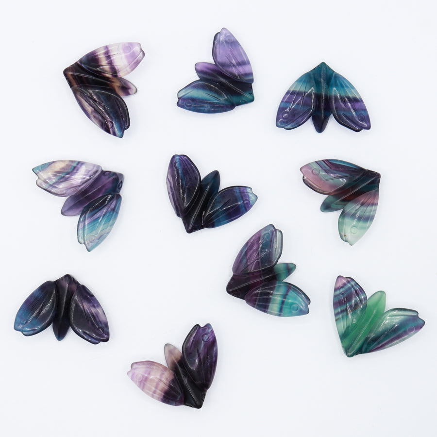 SM Rainbow Fluorite Moth