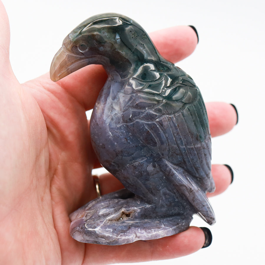 Ocean Jasper Raven