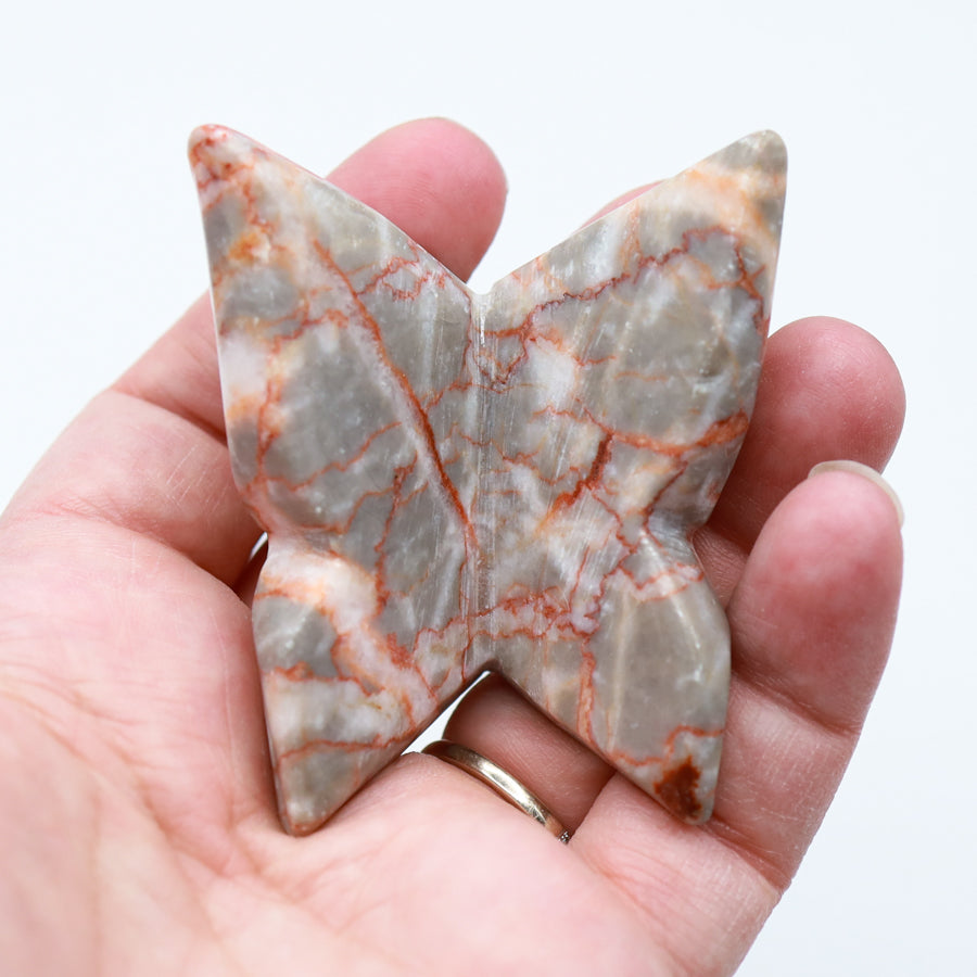 3D Chunky Freestanding Butterflies