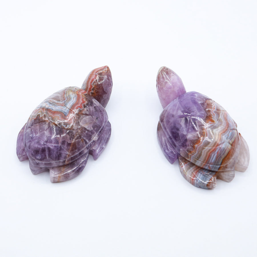 Amethyst Agate Turtle
