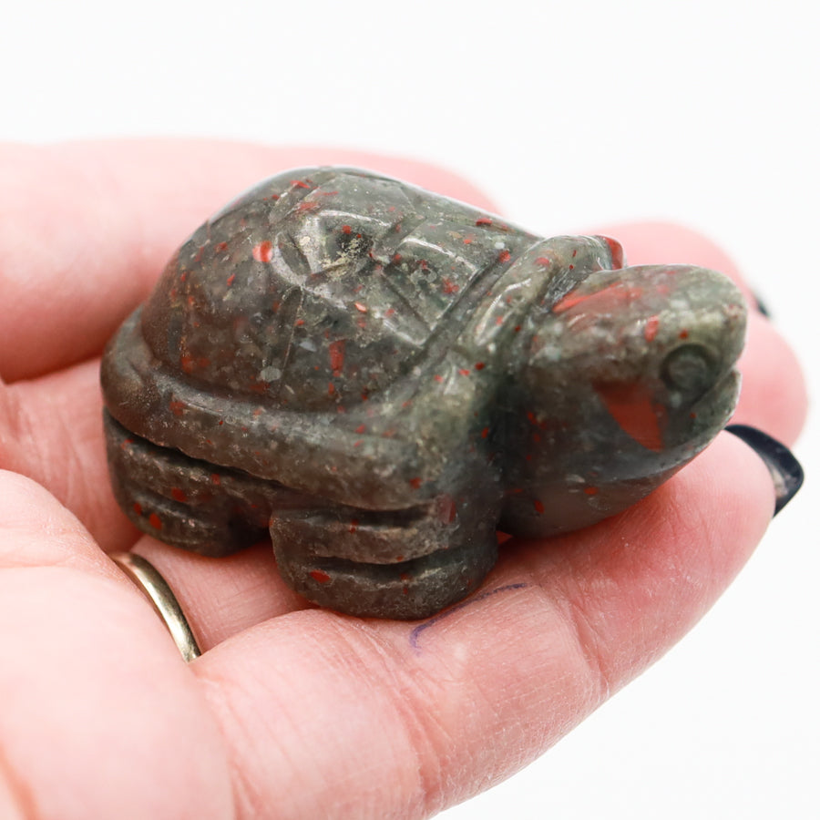 Turtle Carving