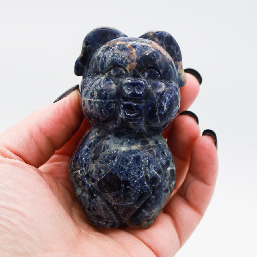Sodalite Piggy