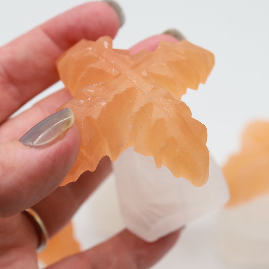 Selenite Palmtree