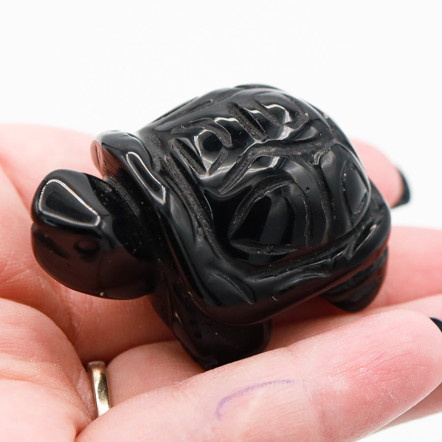 Turtle Carving