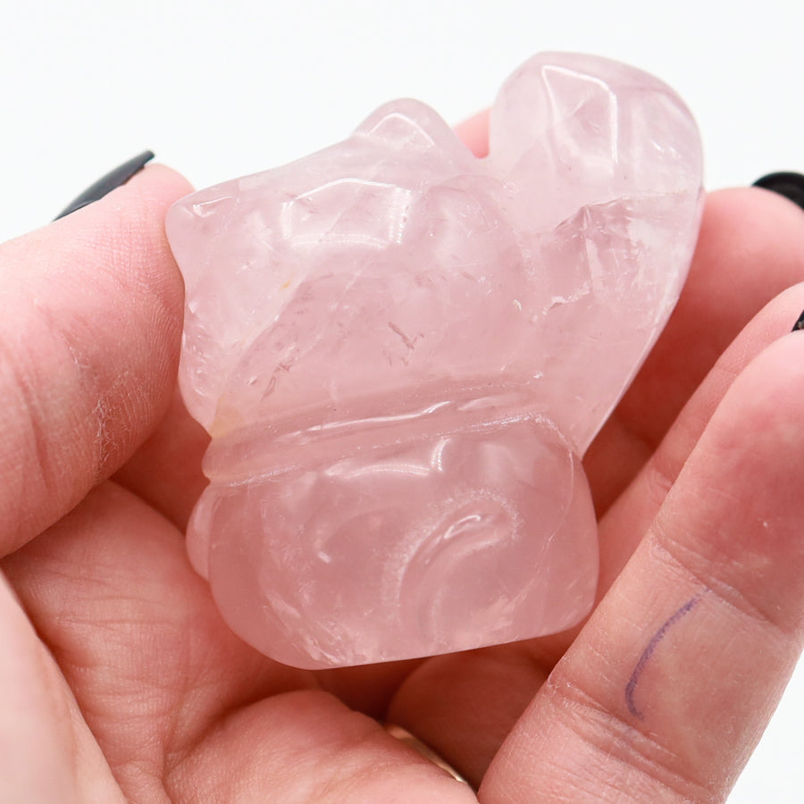 Rose Quartz Cartoon Cat