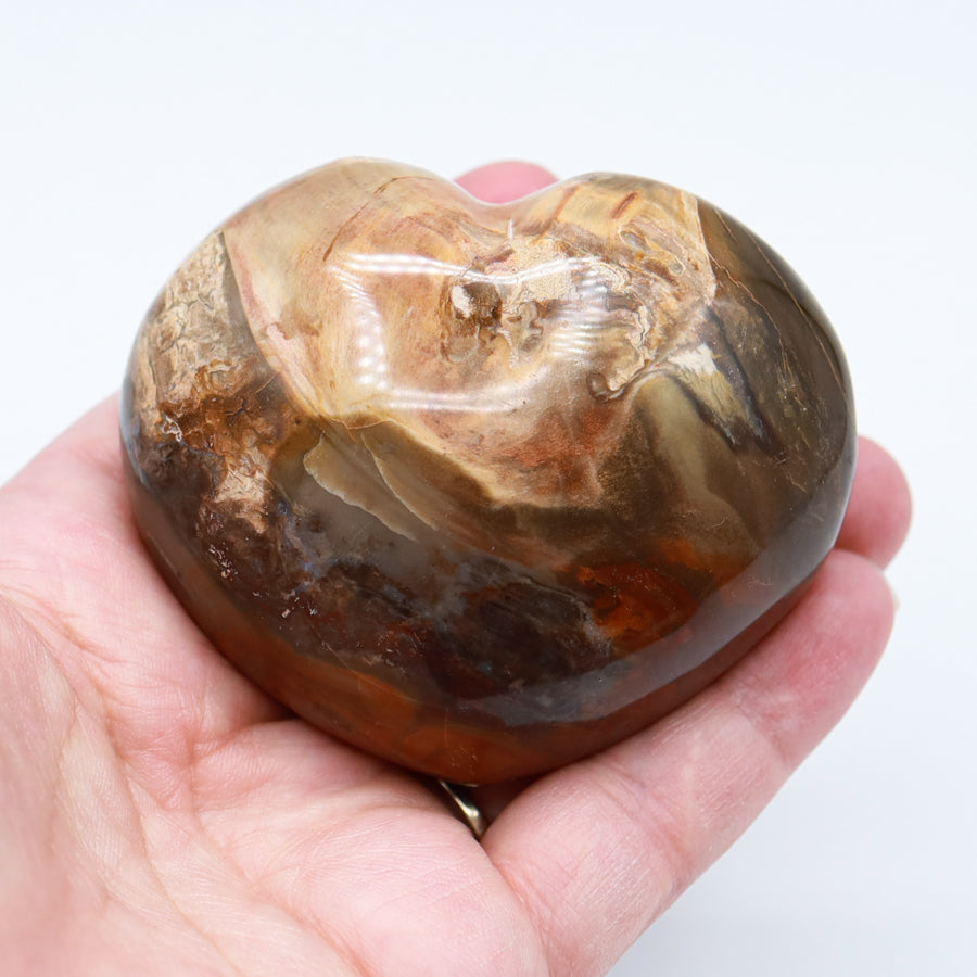 Petrified Wood Hearts