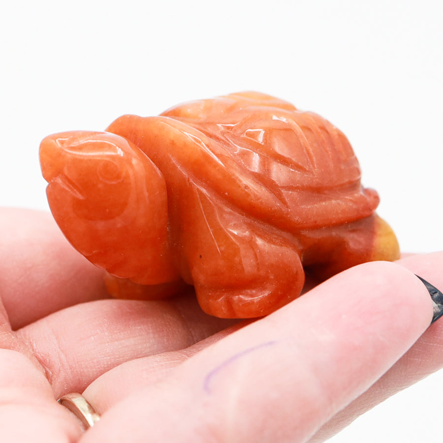 Turtle Carving