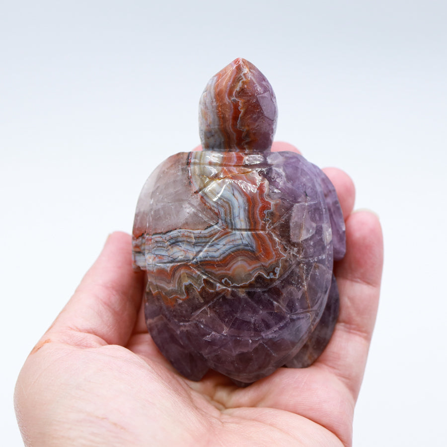 Amethyst Agate Turtle