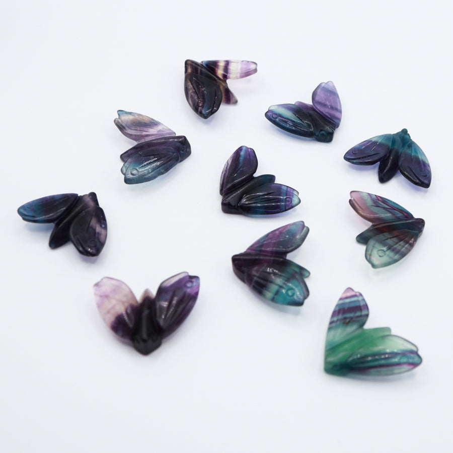 SM Rainbow Fluorite Moth