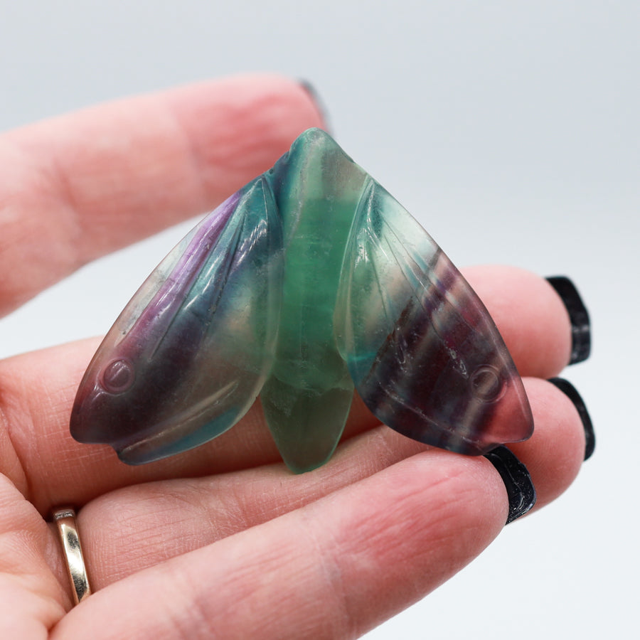 SM Rainbow Fluorite Moth