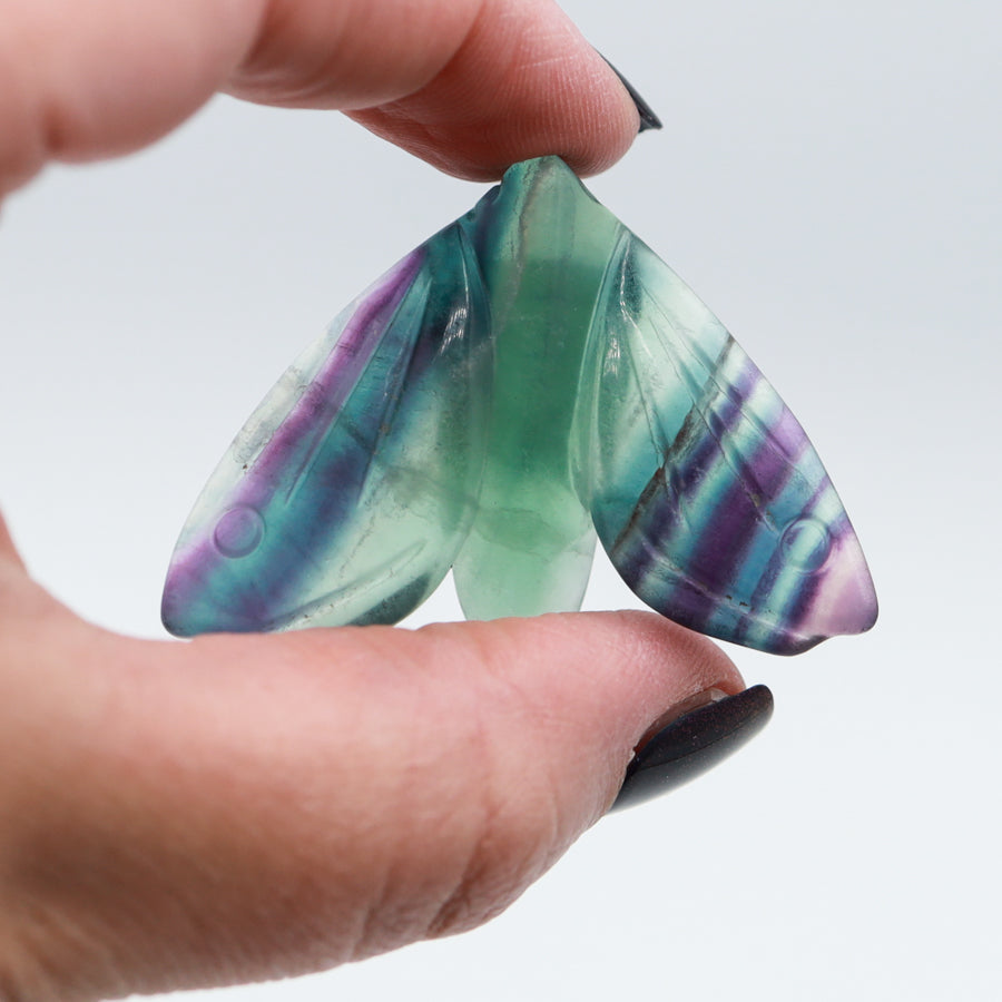 SM Rainbow Fluorite Moth