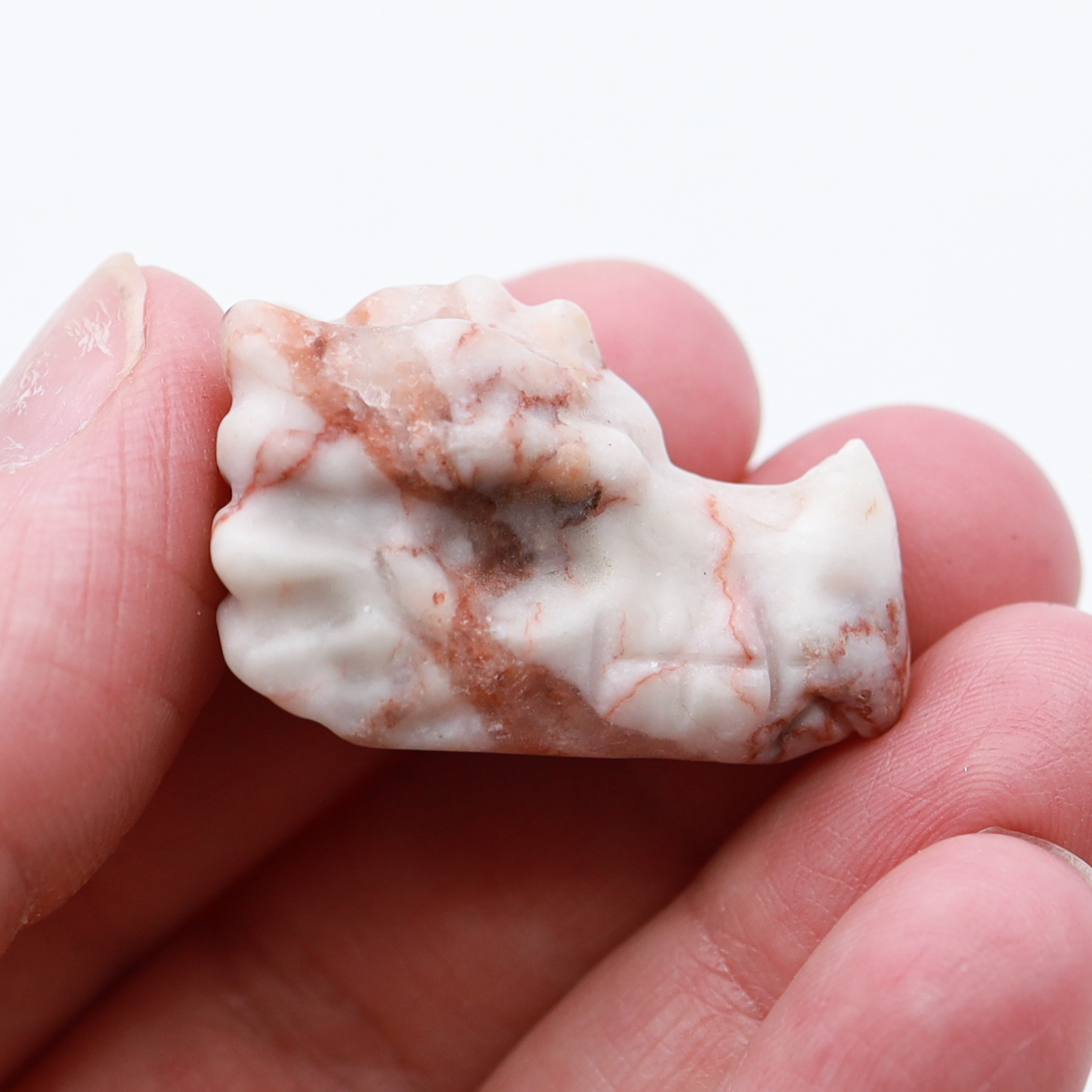 Dragon Head Carvings (small)