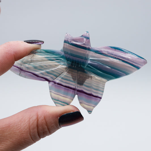 LG Rainbow Fluorite Moth