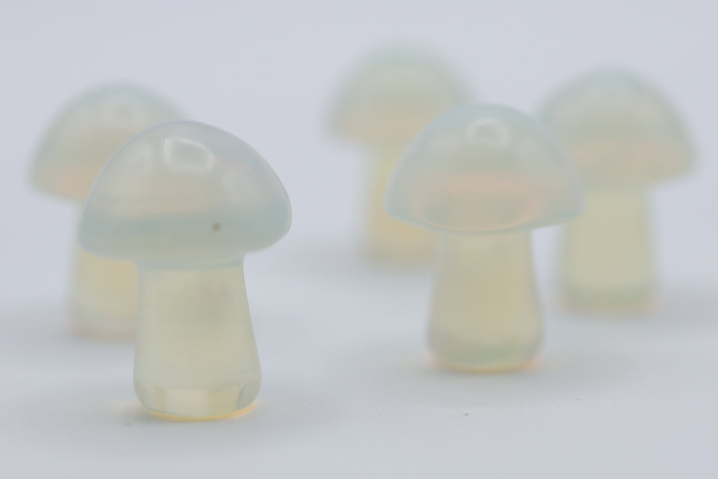 Mini Mushrooms