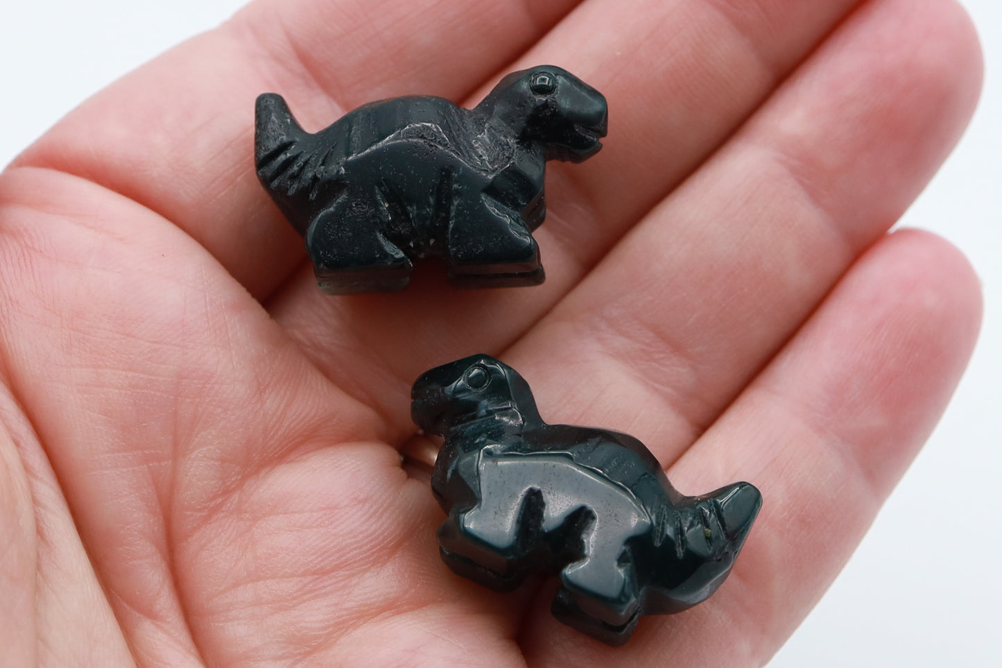 Small Dino Carving