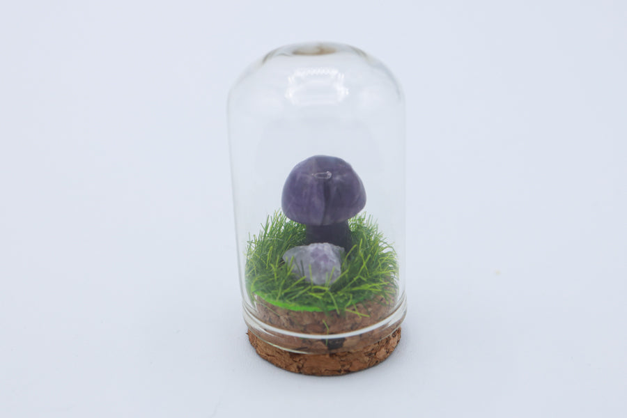 Bottled Mushroom Terrarium