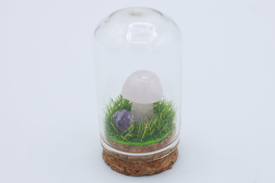 Bottled Mushroom Terrarium