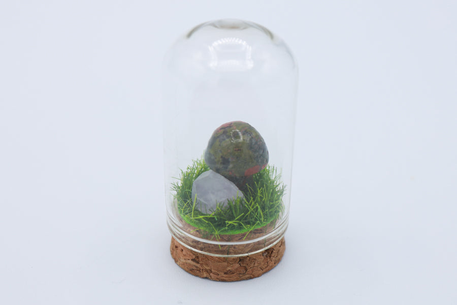 Bottled Mushroom Terrarium