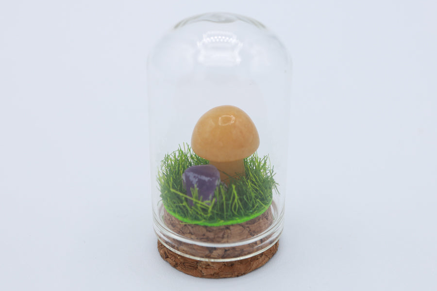 Bottled Mushroom Terrarium
