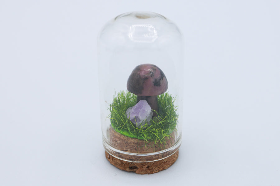 Bottled Mushroom Terrarium