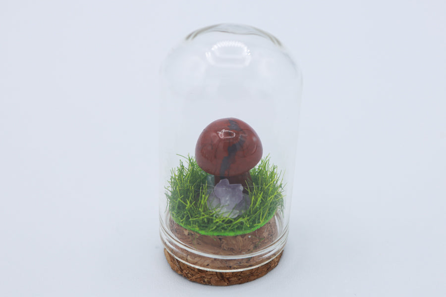 Bottled Mushroom Terrarium