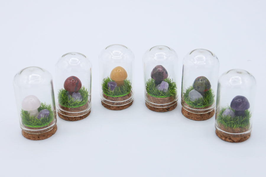 Bottled Mushroom Terrarium