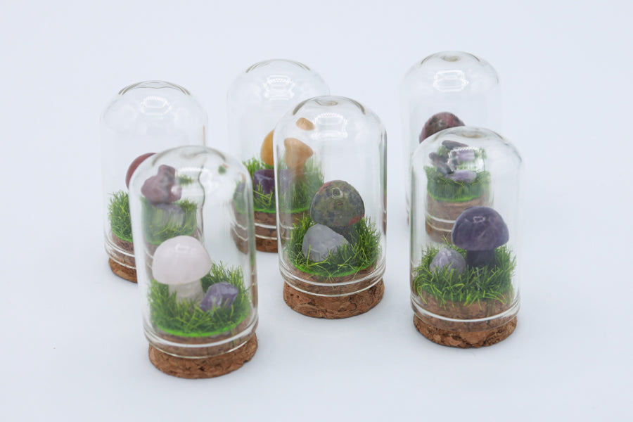 Bottled Mushroom Terrarium