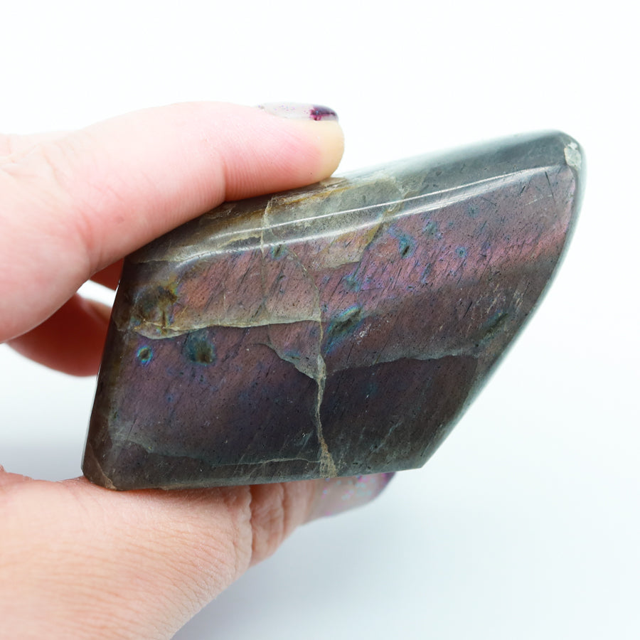 Purple Flash Labradorite Freeforms