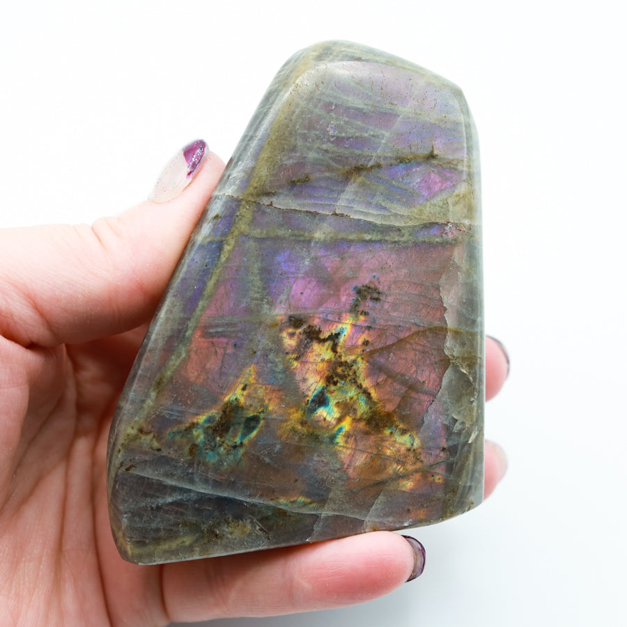 Purple Flash Labradorite Freeforms