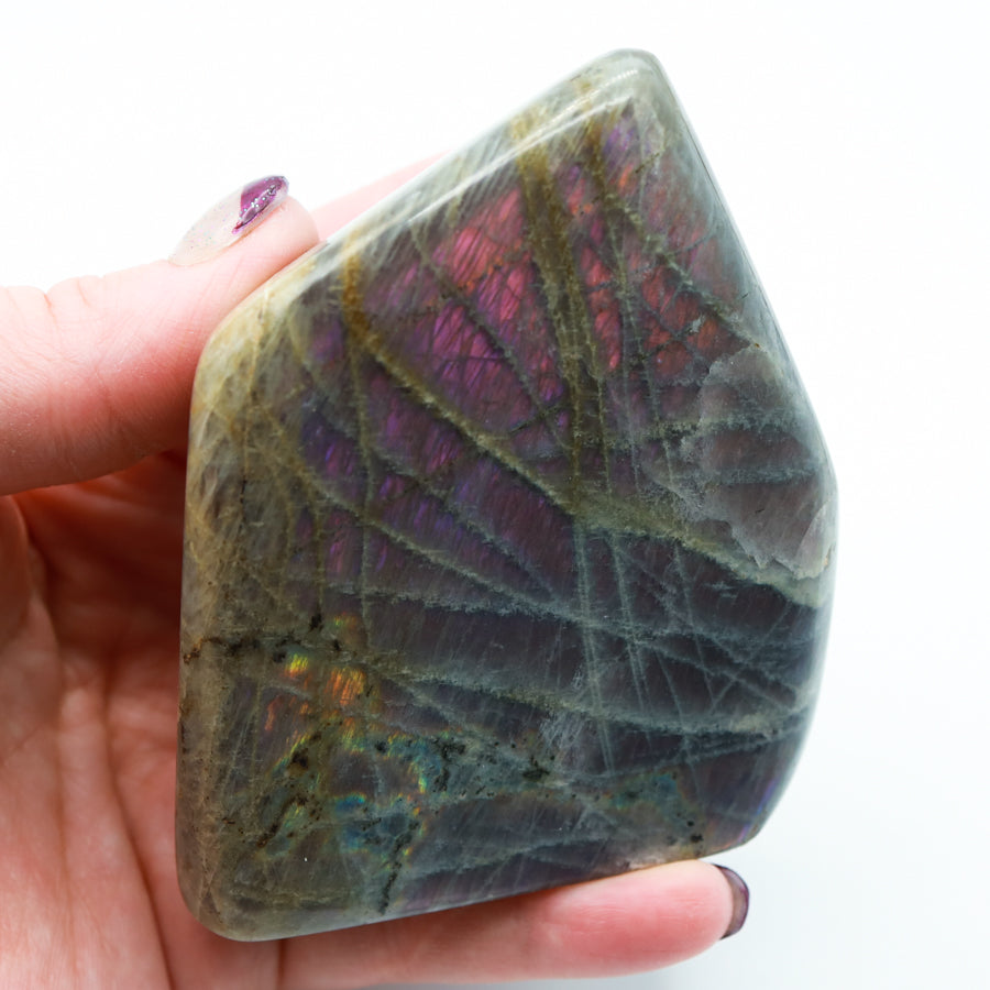 Purple Flash Labradorite Freeforms