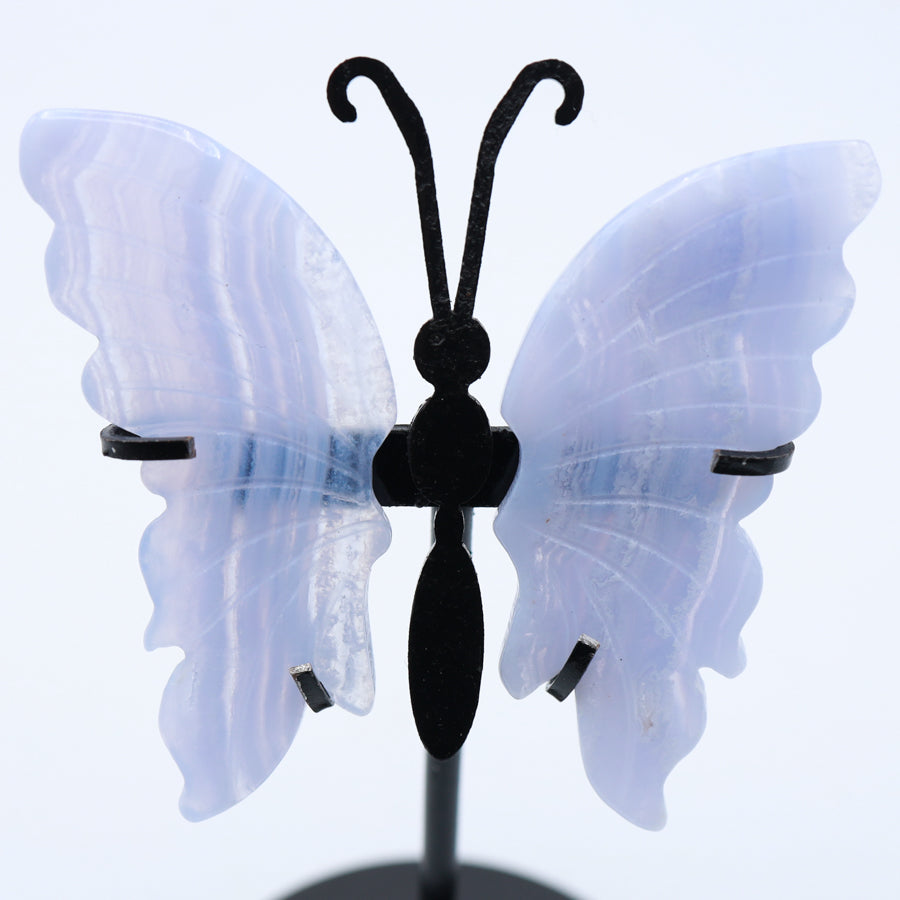 Blue Lace Agate Butterfly Wings