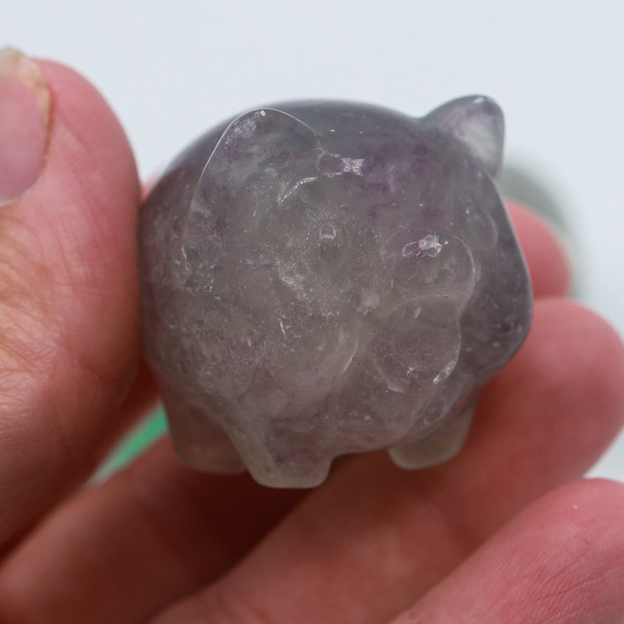 Rainbow Fluorite Piggy