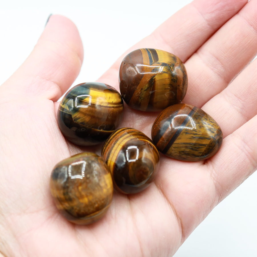 Tigers Eye Tumble