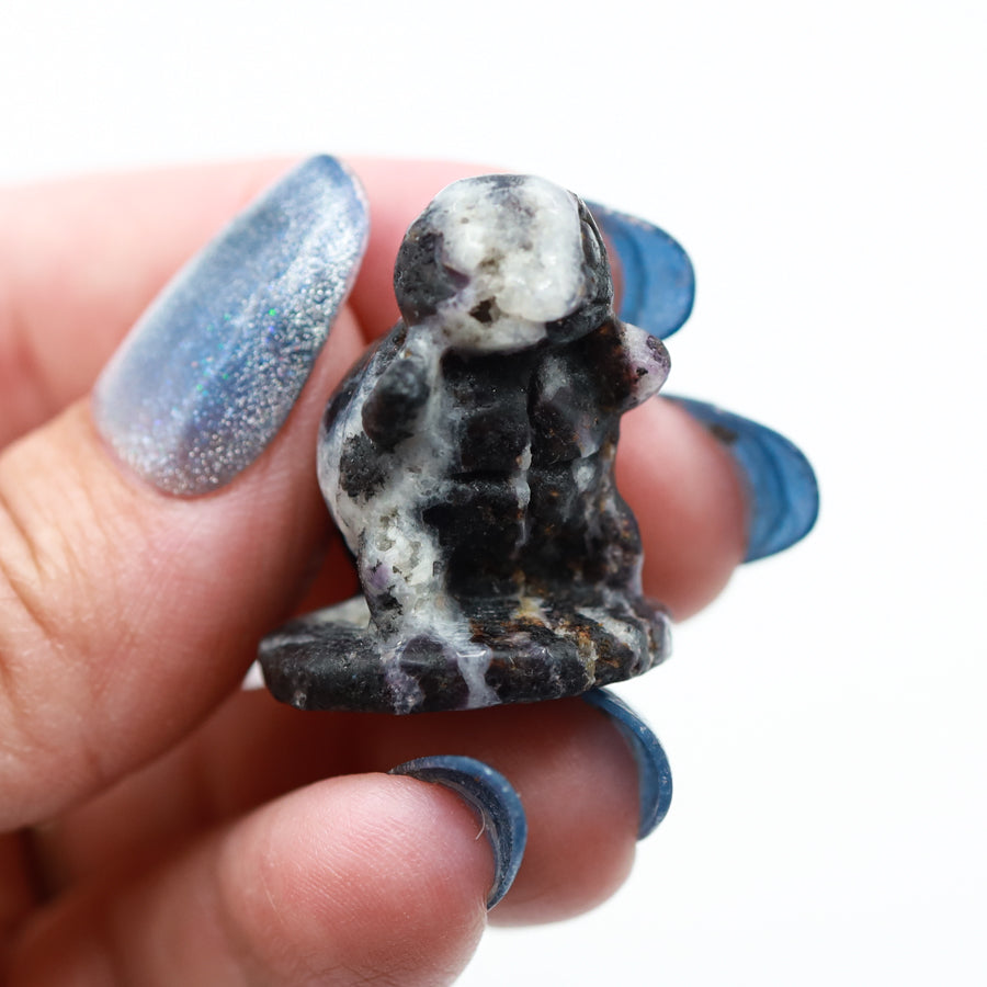 Squirtle Carving
